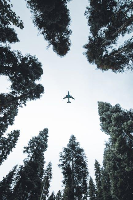 How Airplanes Can Minimize Their Environmental Impact